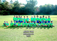 825000-02-2049 schoolyard_29